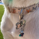 up close dog collar with crystals