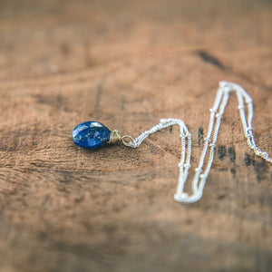 photo of Lapis Lazuli Necklace