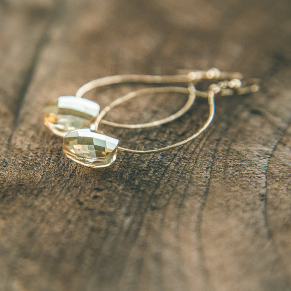Swarowski Crystal Circular Earrings